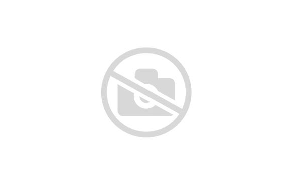 Ботильоны